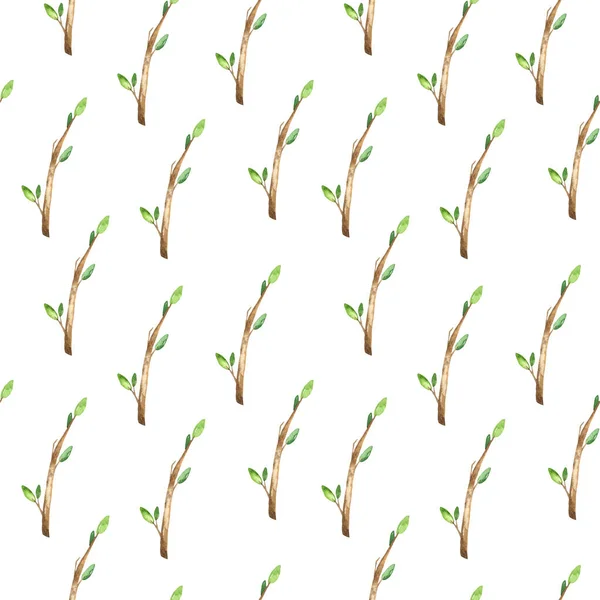Zweige Und Blätter Auf Weißem Hintergrund Nahtloses Aquarell Muster — Stockfoto