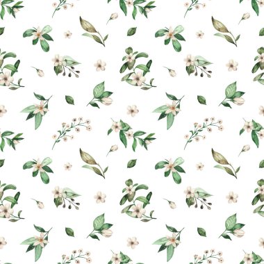 Beyaz çiçekler, beyaz arka planda yapraklar. Suluboya kusursuz desen