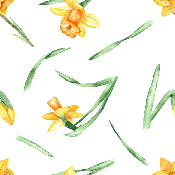 Folhas Flores Narciso Fundo Branco Padrão Sem Costura Aquarela — Fotografia de Stock