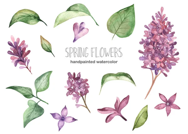 Lente Lila Bloemen Bladeren Aquarel Set Voor Een Bruiloft Ontwerp — Stockfoto