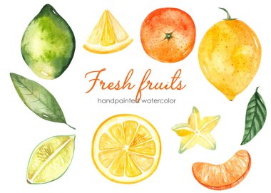 Limon, mandalina, limon. Suluboya elle boyanmış klima