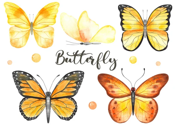 Бабочки Желтые Черные Оранжевые Акварель Ручной Работы — стоковое фото