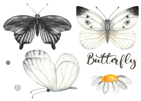 Mariposas Blancas Negras Acuarela Pintada Mano Clipart — Foto de Stock