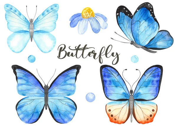 Modří Fialoví Motýli Sada Akvarelů Ručně Malované Kliparty — Stock fotografie