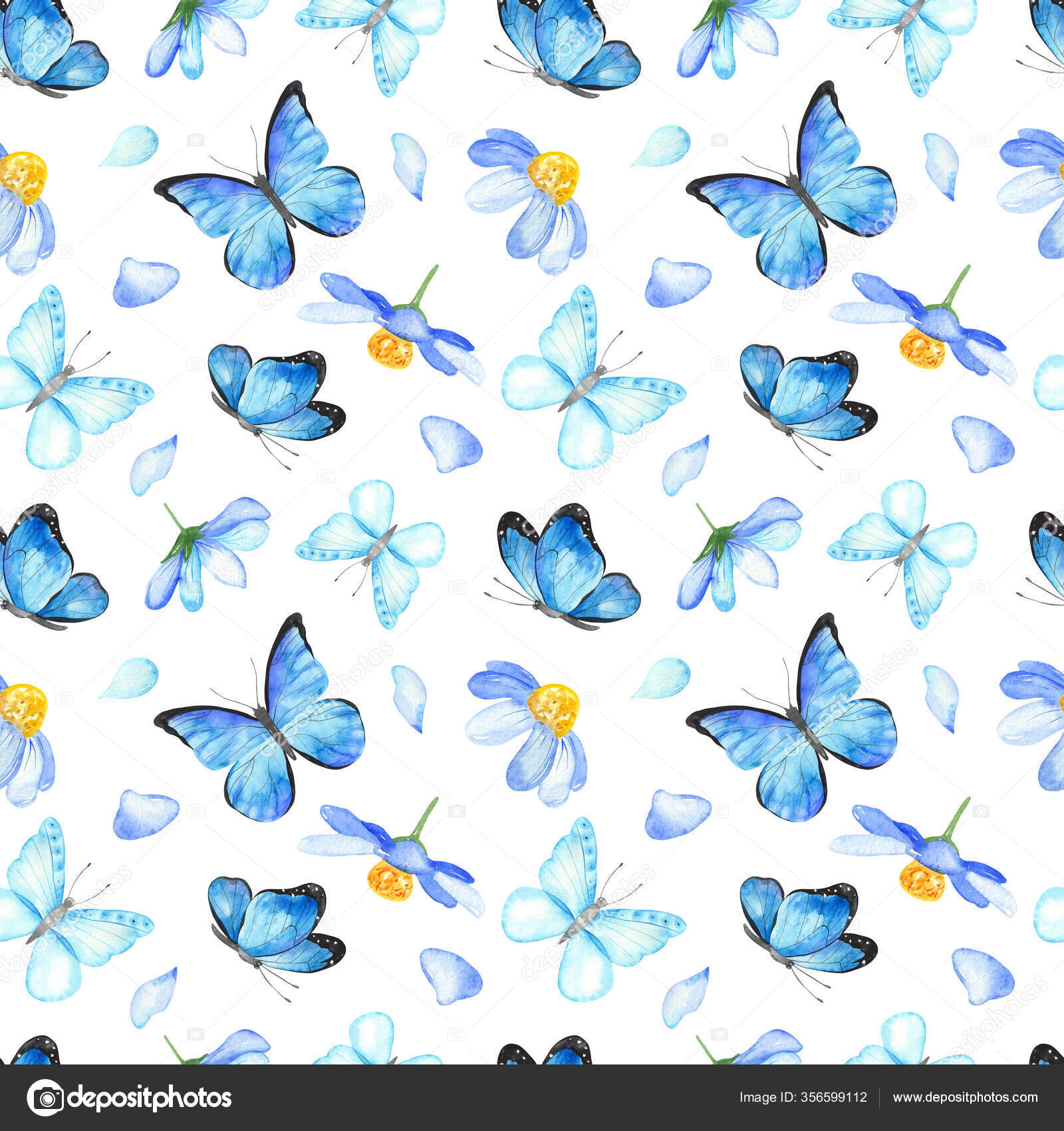 Blue Butterflies Flowers White Background Watercolor Hand Painted