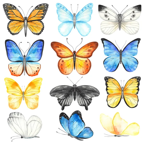 Handgeschilderde Aquarel Clipart Veelkleurige Vlinders Blauw Geel Zwart Wit Oranje — Stockfoto