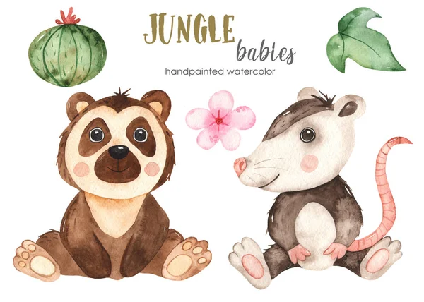Dětská Vačice Okázalý Medvěd Akvarel Ručně Kreslené Džungle Set — Stock fotografie
