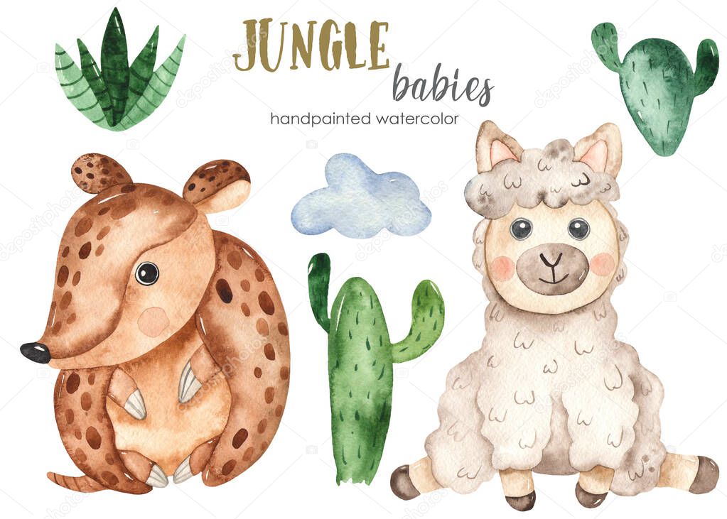 Baby armadillo and llama. Watercolor hand-drawn jungle set