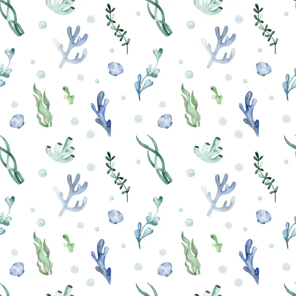 Algae, corals on a white background. Watercolor seamless pattern