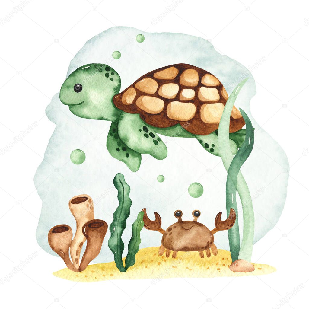 Sea turtle, crab, seaweed. Watercolor hand drawn composition
