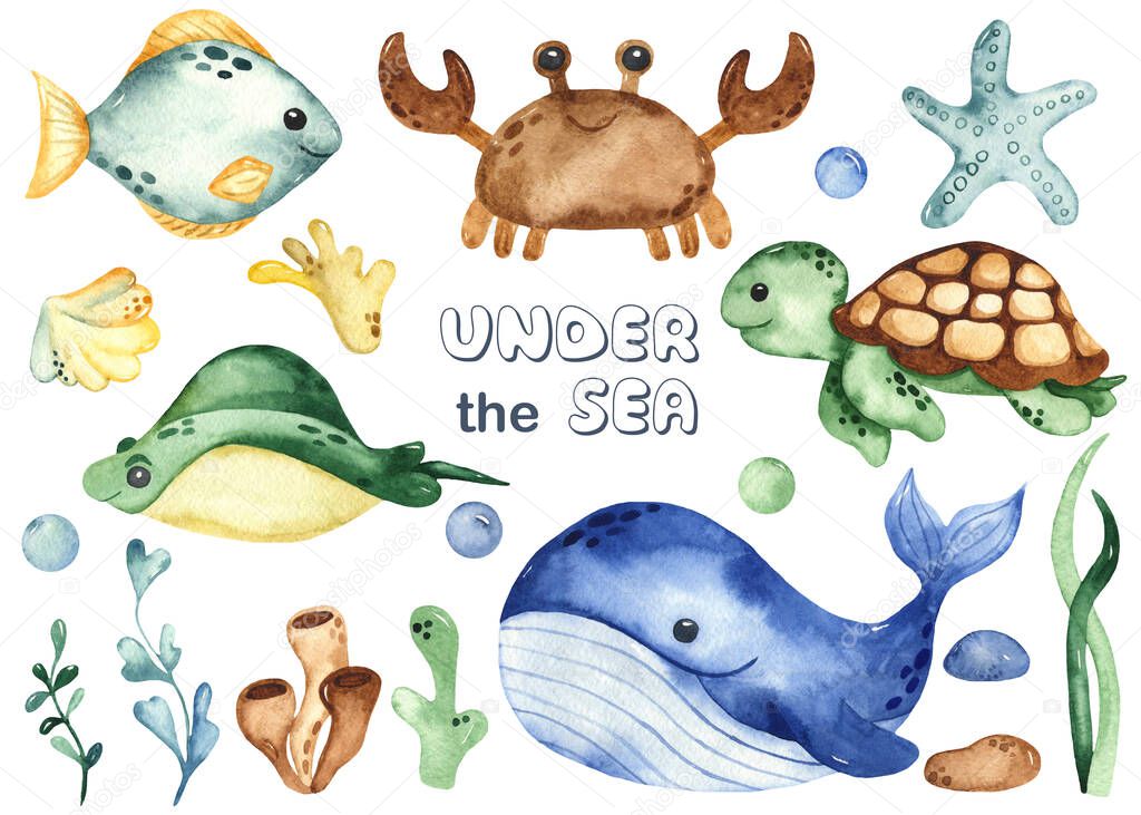 Underwater creatures whale, sea turtle, crab, stingray, starfish, algae, corals. Watercolor hand drawn clipart