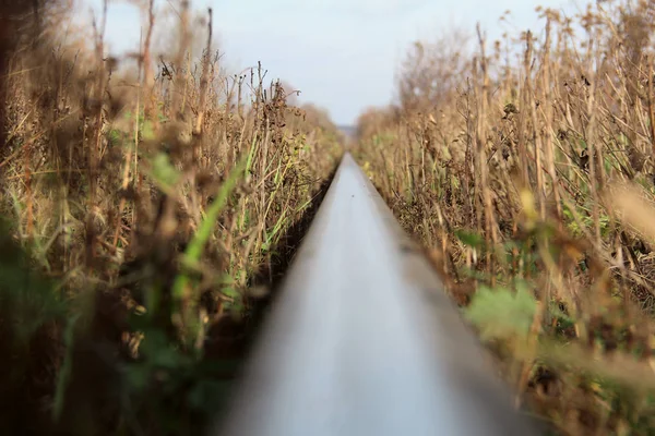 Demiryolu mesafeye gidiyor..