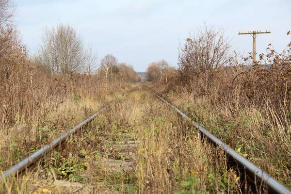 Ferrovia Lontananza — Foto Stock