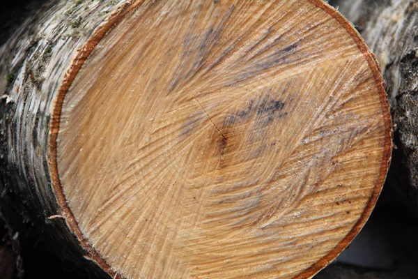 Paint and heat wood structure