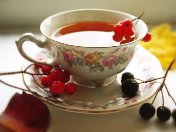 Tea  autumn — Stock Photo, Image