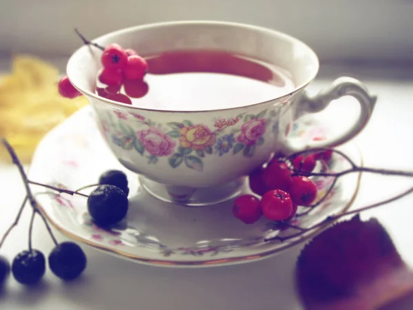 Autumn tea. Cup of tea with rowanberry. — Stock Photo, Image