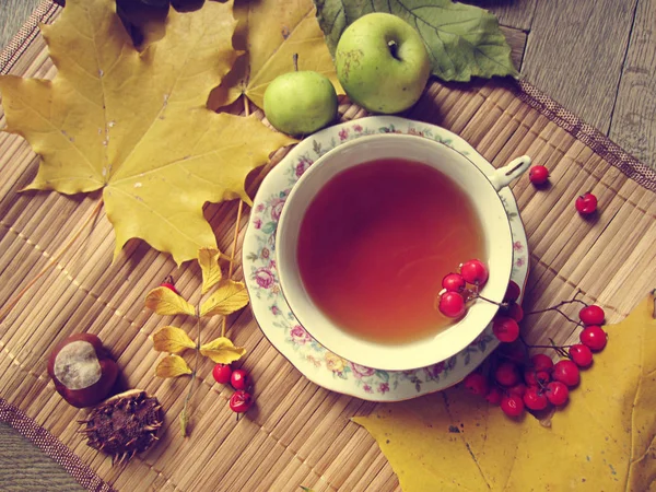Autumn tea. Cup of tea with rowanberry and autumn leaves — Stock Photo, Image