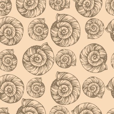 kabuk vektörsüz desen