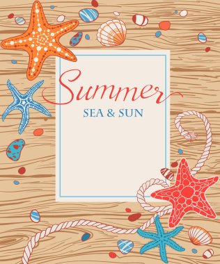 El yapımı seastar, ip, deniz kenarları ve ahşap sırtlı deniz kabukları.