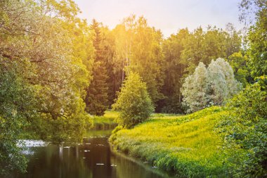 Yaz manzarası, tarla, orman ve nehir.