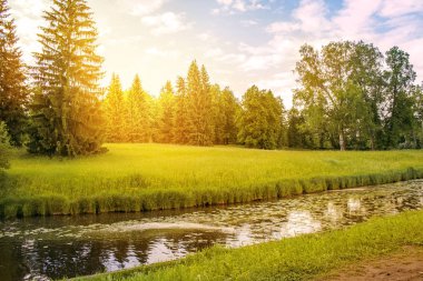 Yaz manzarası, tarla, orman ve nehir.