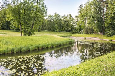 Yaz manzarası, tarla, orman ve nehir.