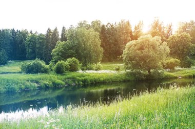Yaz manzarası, tarla, orman ve nehir.
