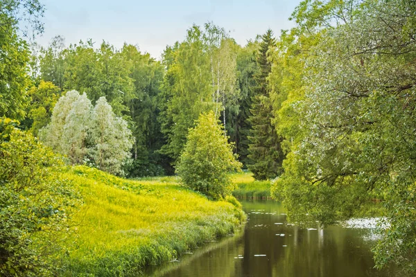 Summer landscape, field, forest and river. — Stock Photo, Image