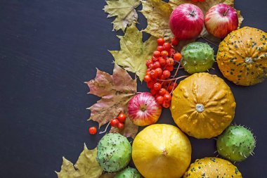 Balkabakları, kestaneler, kızılcık ve sonbahar yaprakları.