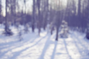 Sızlanan kar ormanı, terkedilmiş sezon arkaplanı.