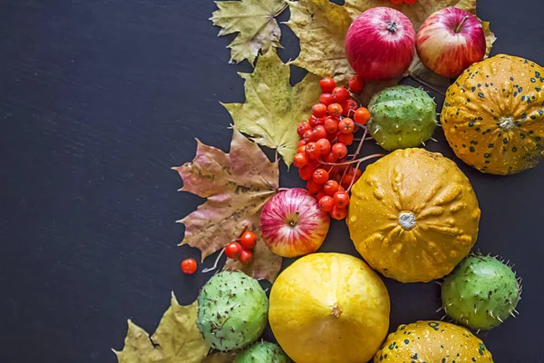 Citrouilles, châtaignes, canneberges et feuilles d'automne. — Photo