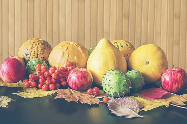 Citrouilles et fruits d'automne, baies et feuilles. — Photo