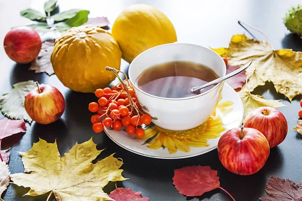 Tasse de thé, feuilles d'automne et rowanberry. — Photo