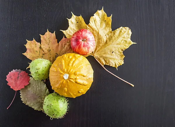 Citrouilles, pommes et feuilles d'automne . — Photo