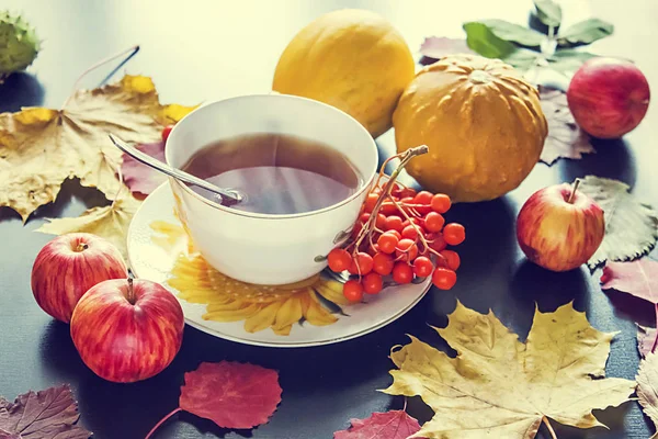 Tasse de thé, feuilles d'automne et rowanberry. — Photo