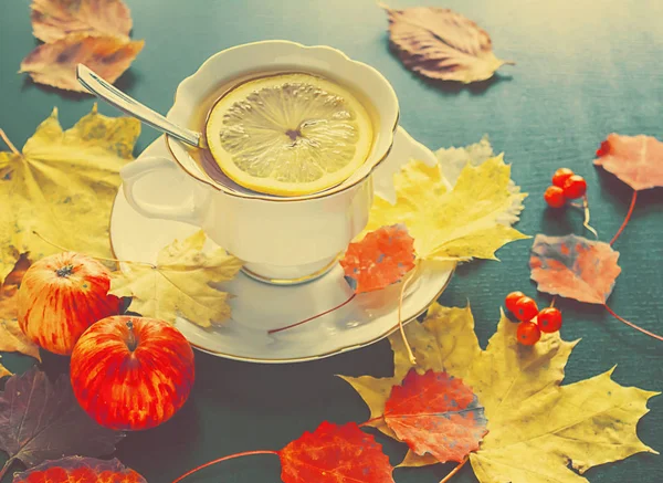 Cup of tea, autumn leaves and rowanberry. — Stock Photo, Image