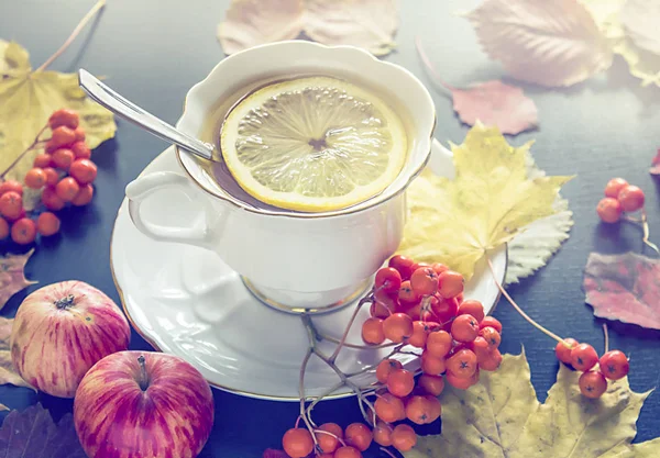 Cup of tea, autumn leaves, apples and rowanberry. — Stock Photo, Image