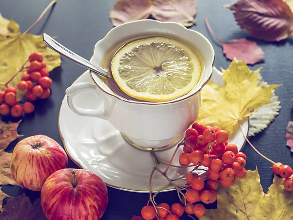 Cup of tea, autumn leaves, apples and rowanberry. — Stock Photo, Image