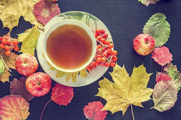 Tasse de thé, feuilles d'automne et pommes, vue sur le dessus. — Photo