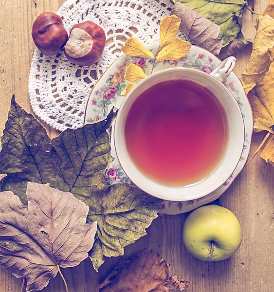 Autumn tea. Cup of tea with rowanberry and autumn leaves, chestn — Stock Photo, Image
