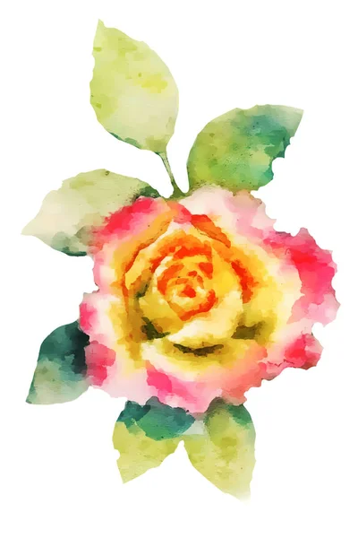 Rose Hand Farbe Aquarell Vektor Illustration — Stockvektor