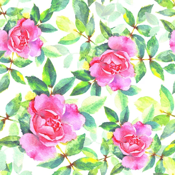 Aquarel handverf roze rozen, raster naadloos patroon. — Stockfoto