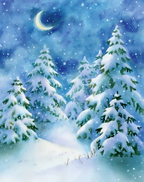 Watercolor winter nignt forest, hand paint background — Stock fotografie