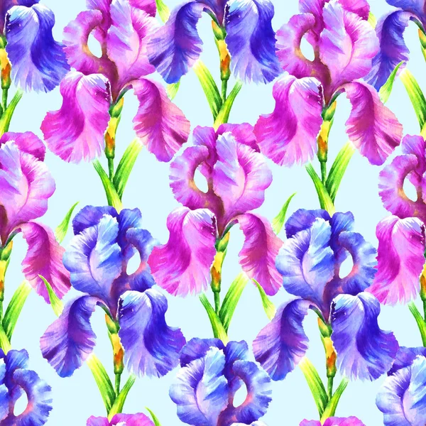 Acquerello Mano Pittura Iris Fiore Modello Senza Soluzione Continuità Tessile — Foto Stock