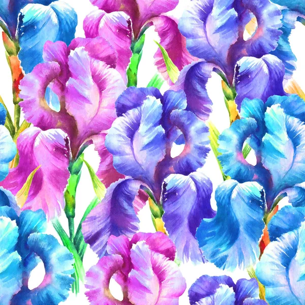 Aquarell Handfarbe Irisblume Nahtloses Muster Für Textilien Tapete Hintergrund — Stockfoto