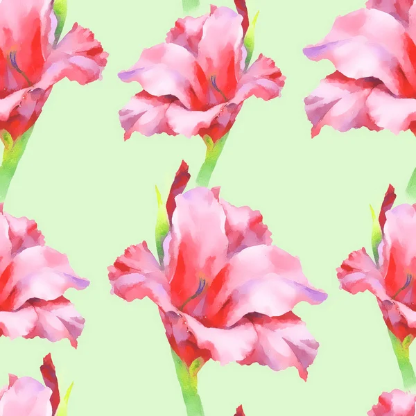 Aquarell rosa Gladiolenknospe, nahtloses Muster. — Stockfoto