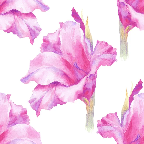 Watercolor pink gladiolus bud, seamless pattern. — Stock Photo, Image