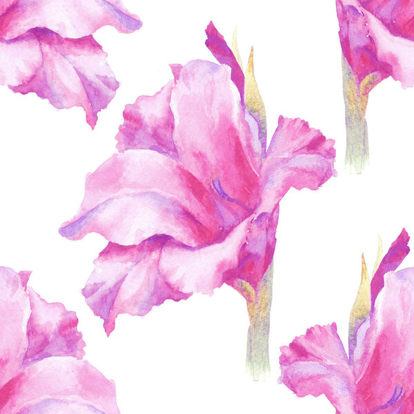 Акварель розовый гладиолус бутон, бесшовный узор
.