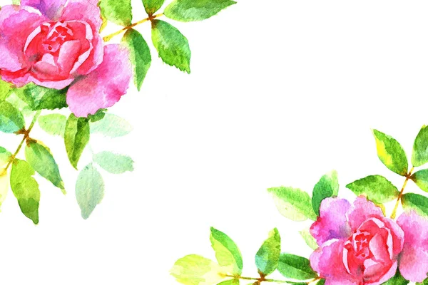 Акварель розовая с листьями — стоковое фото