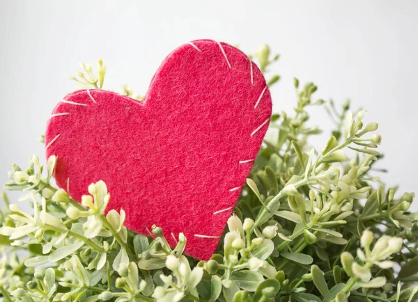 Coração de feltro vermelho com planta floral verde, modelo para Valentim — Fotografia de Stock
